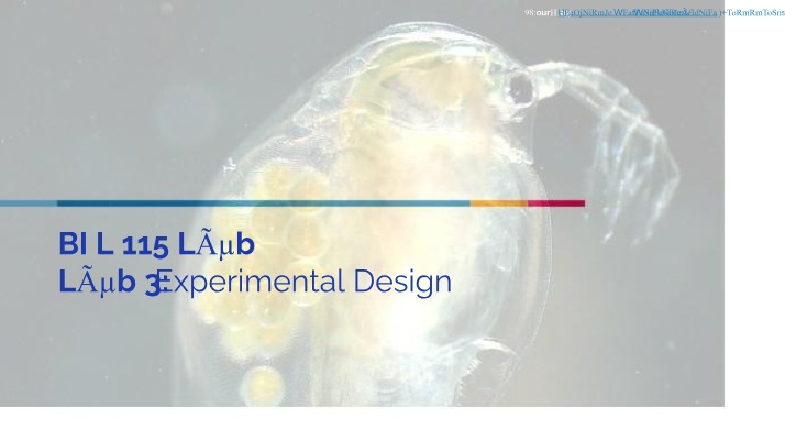 Impact of Temperature and Fertilizer on Daphnia