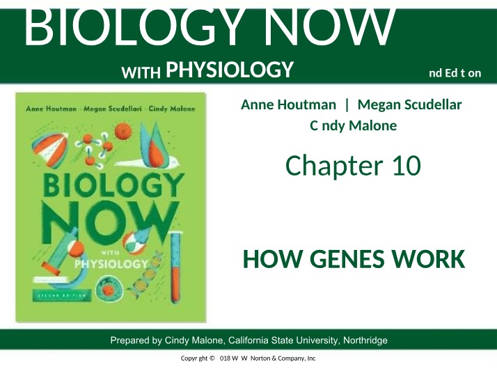 BIOL 101 - Chapter 10 Lecture PPT