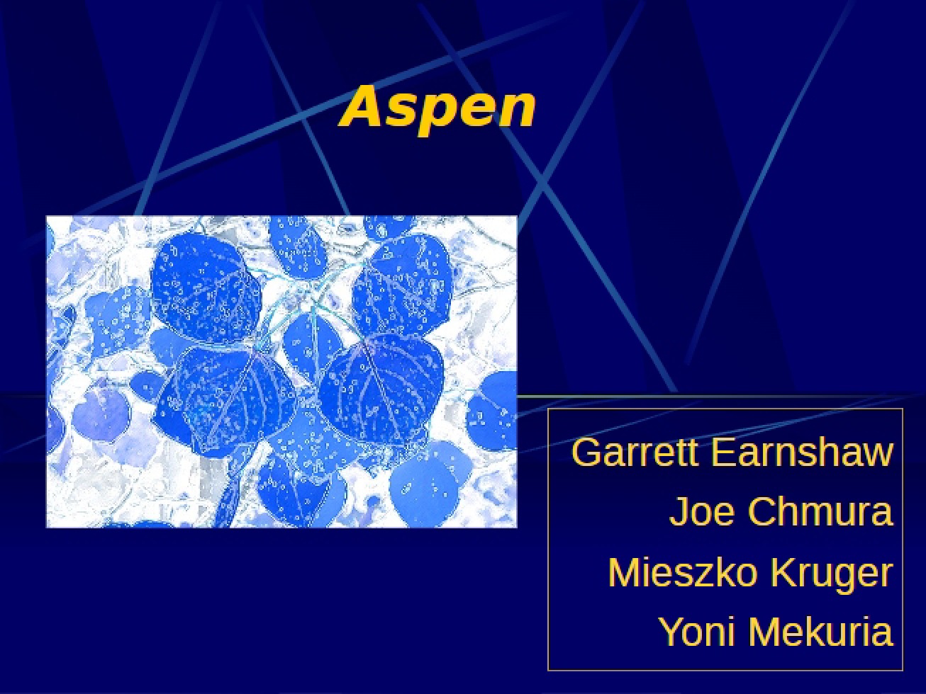 Project Overview Aspen