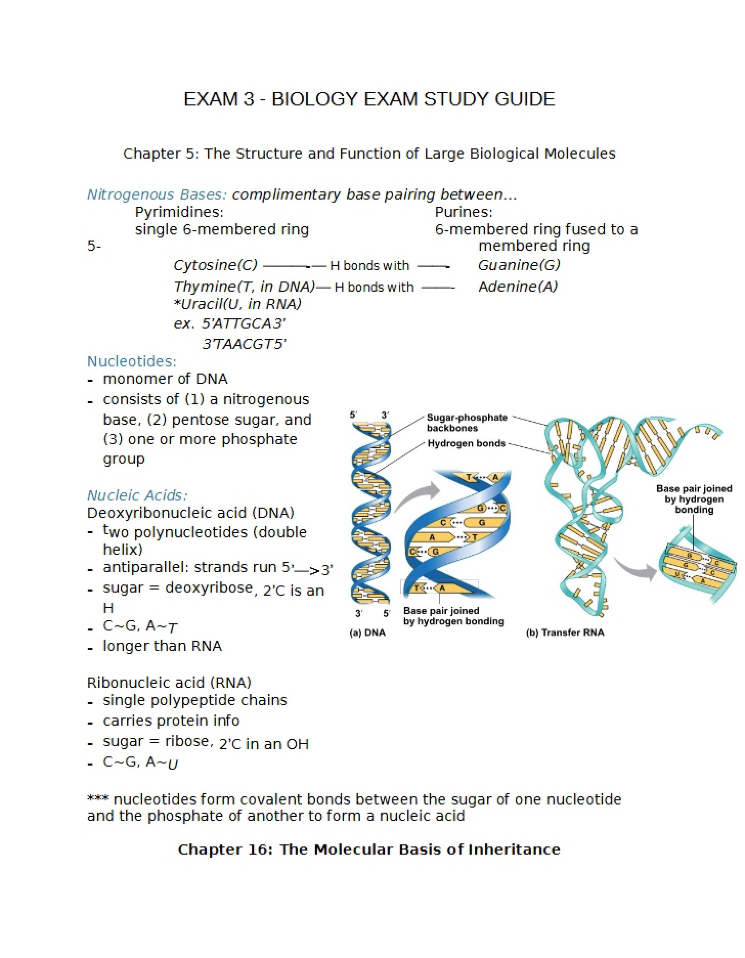 Thematic Study Strategy for the Third Biology Exam