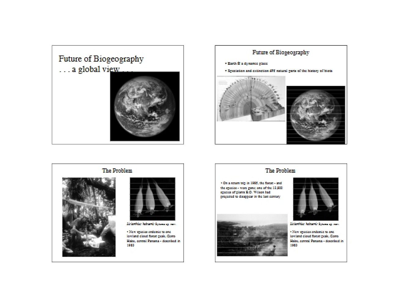 Biogeography's Future