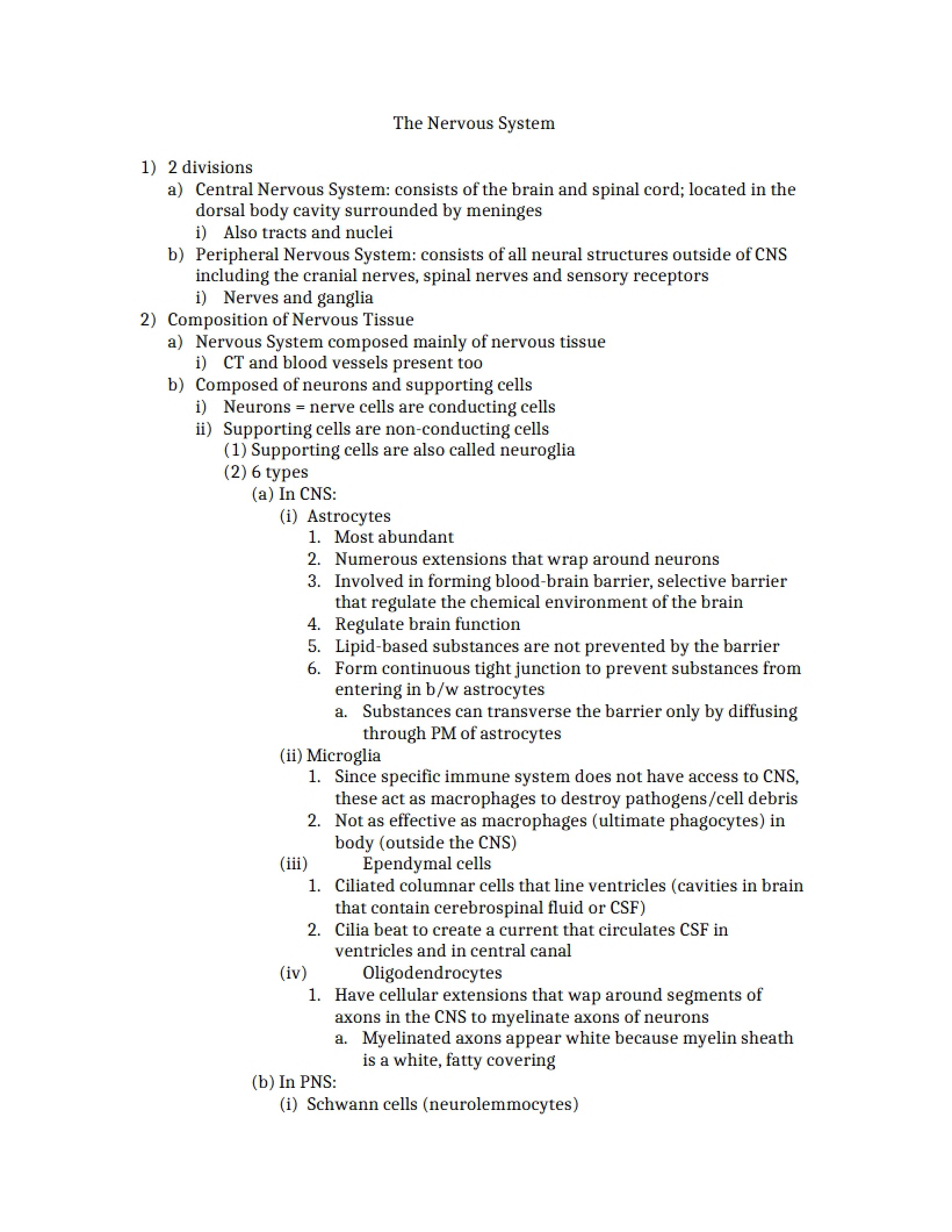 Nervous System Overview