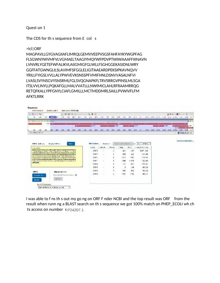 E. coli CDS - ORF3
