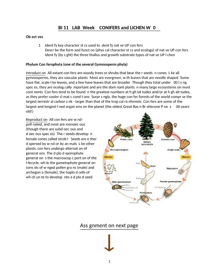 Native UP Conifers - Lichen Morphology and Ecology