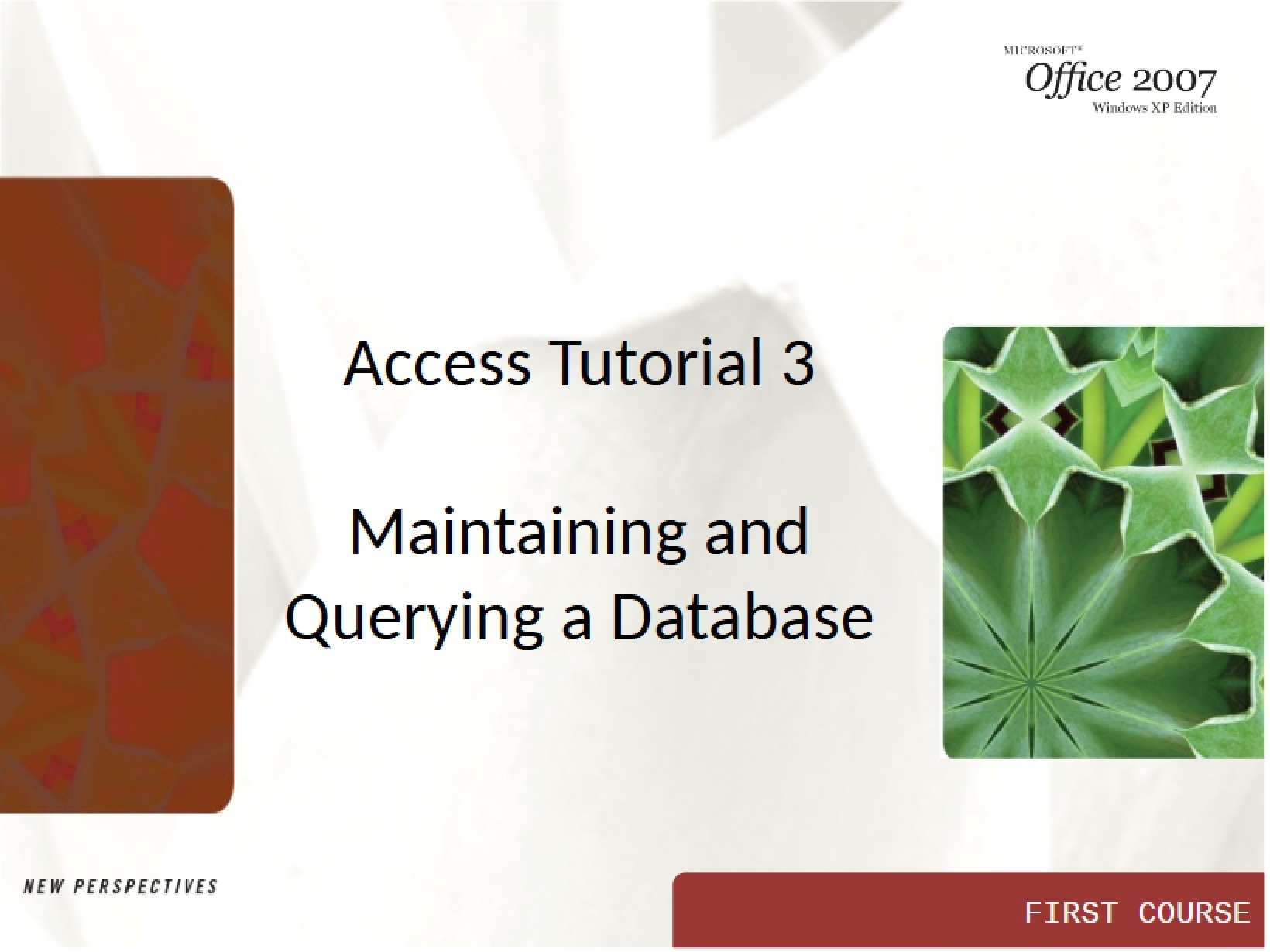 Database Querying and Maintenance (Access Tutorial 3)