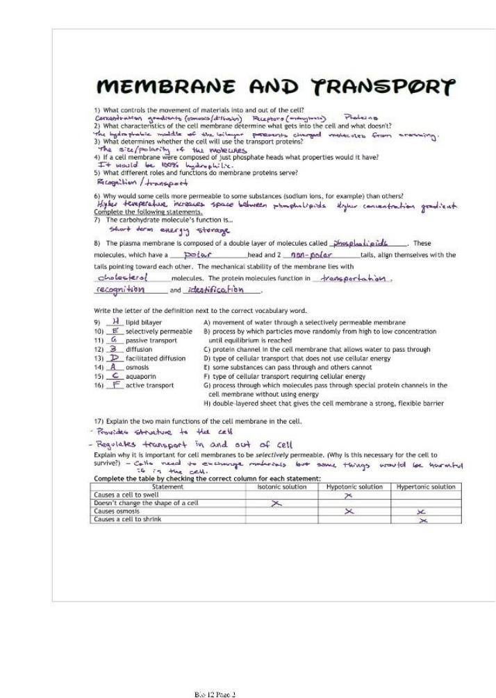 Transport Processes and Cell Membrane