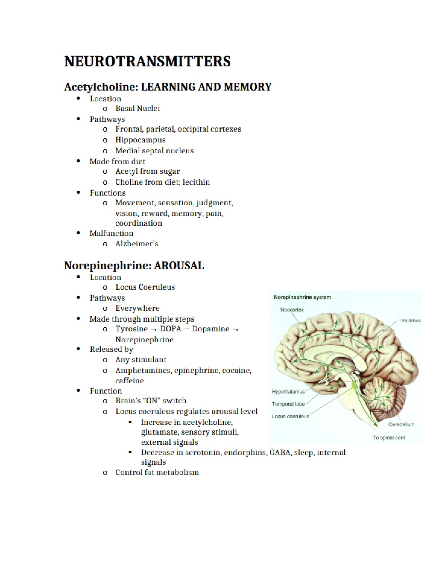 Neurotransmitter Function