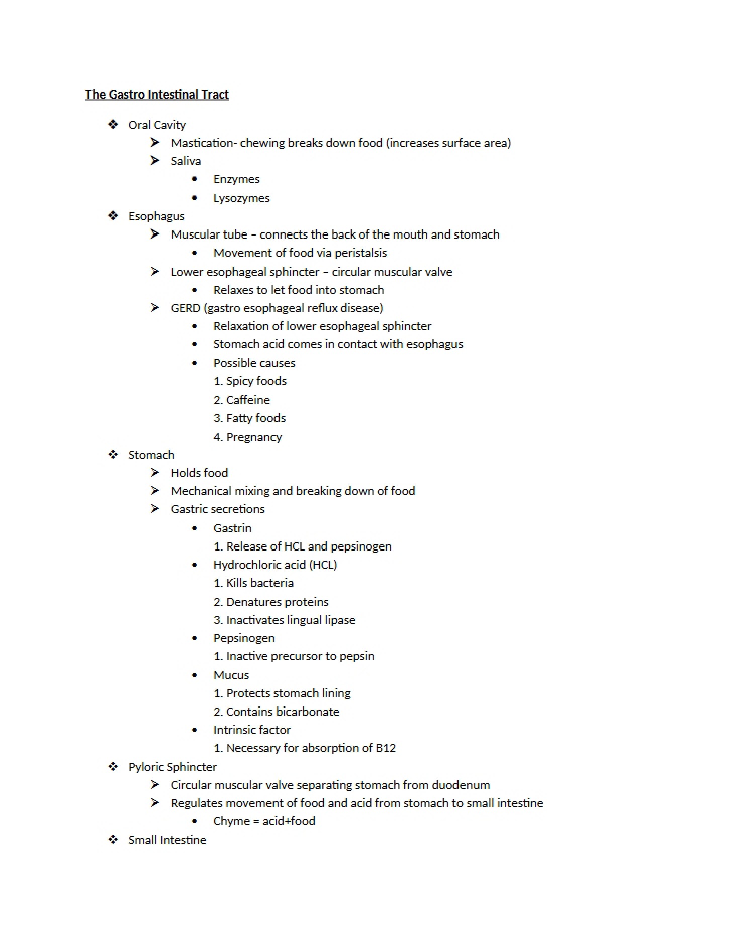 Human Digestive System Overview