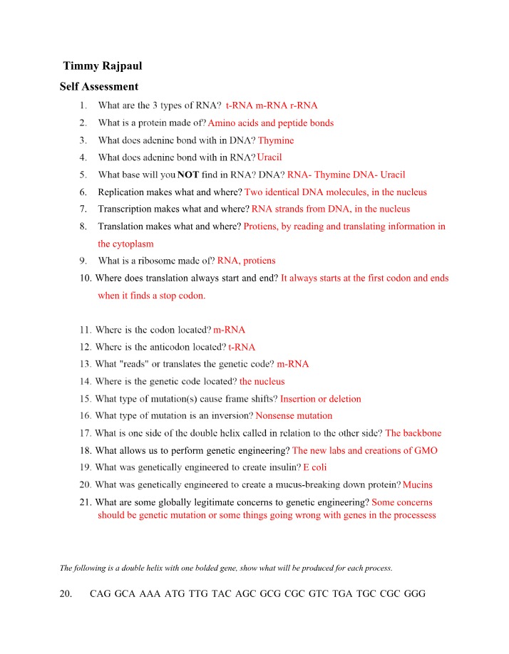 RNA, Protein, and DNA Base Composition and Bonds