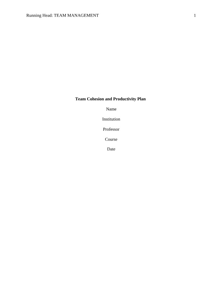 Plan for Team Cohesion and Productivity