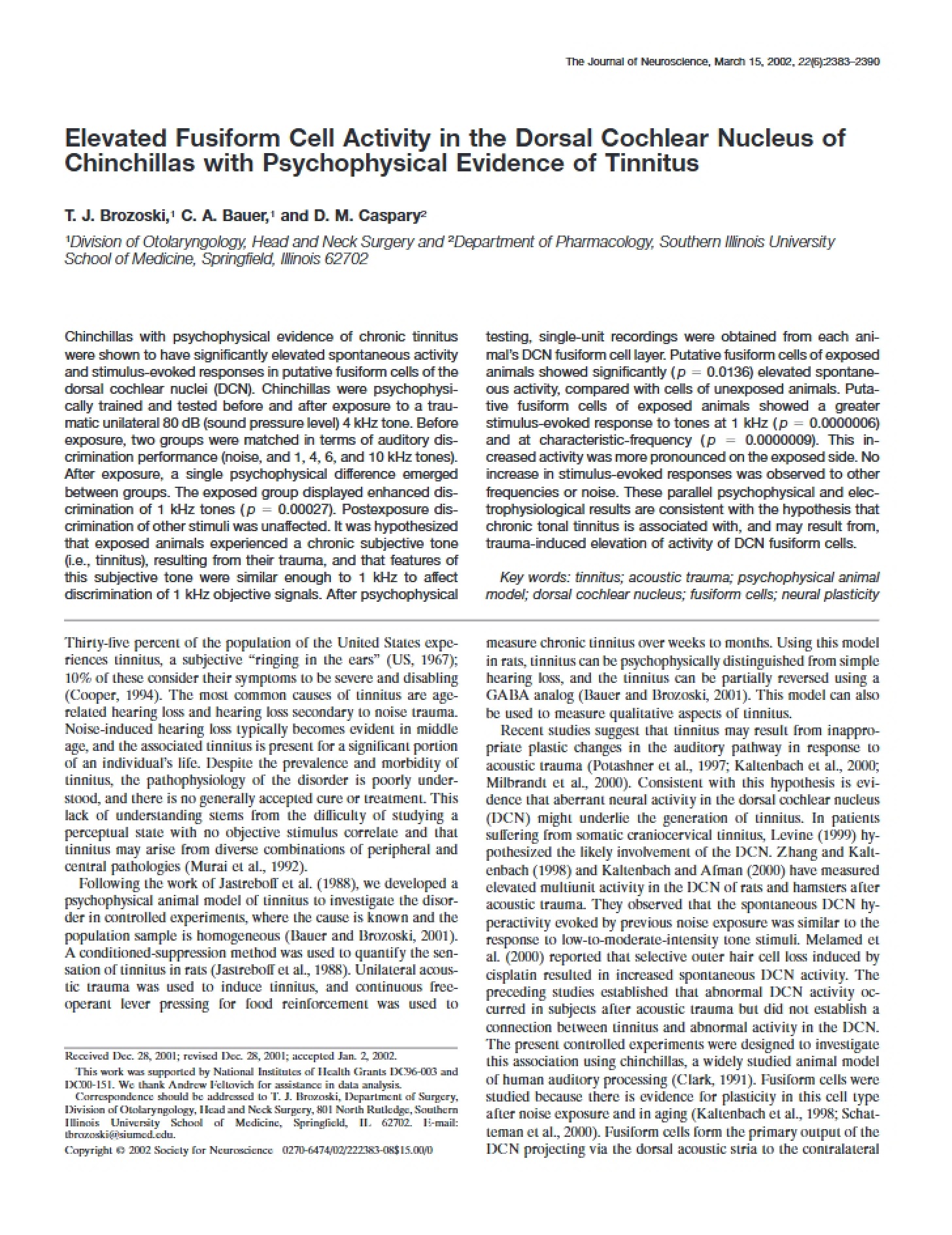 Chinchilla Dorsal Cochlear Nucleus Fusiform Cell Activity Elevation