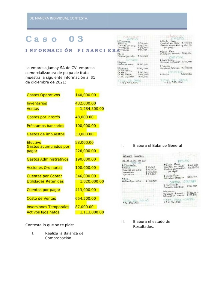 Financial Information and Analysis - Jamay SA de CV Balance