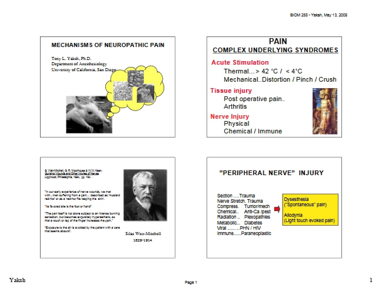 Pathophysiology of Neuropathic Pain
