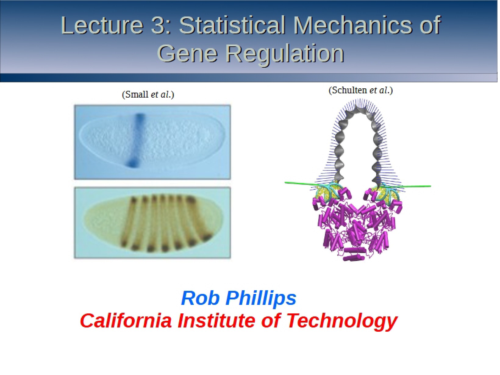 Third Lecture