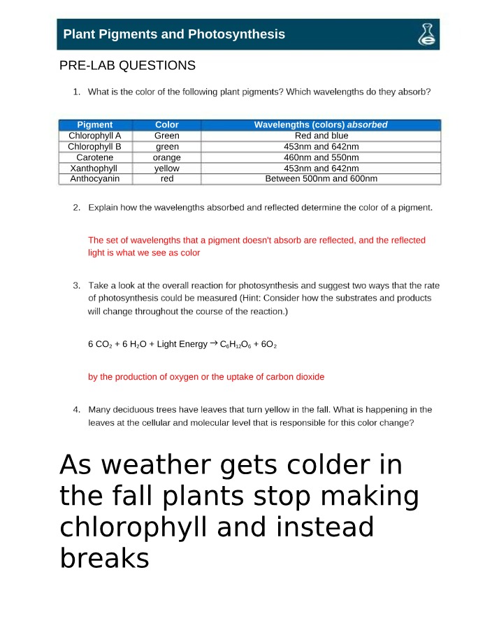 Questions on Plant Pigments and Photosynthesis