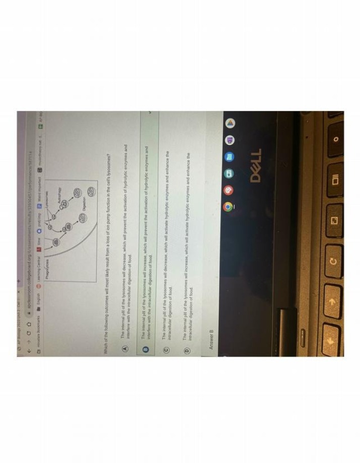 Question on Lysosome pH and Intracellular Digestion