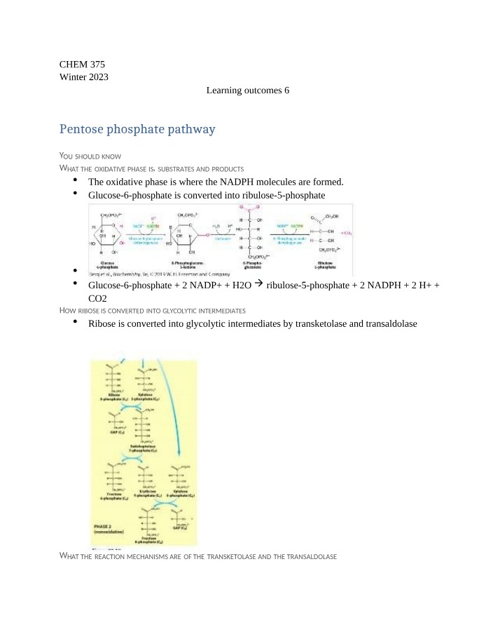 Oxidative Phase of the Pentose Phosphate Pathway
