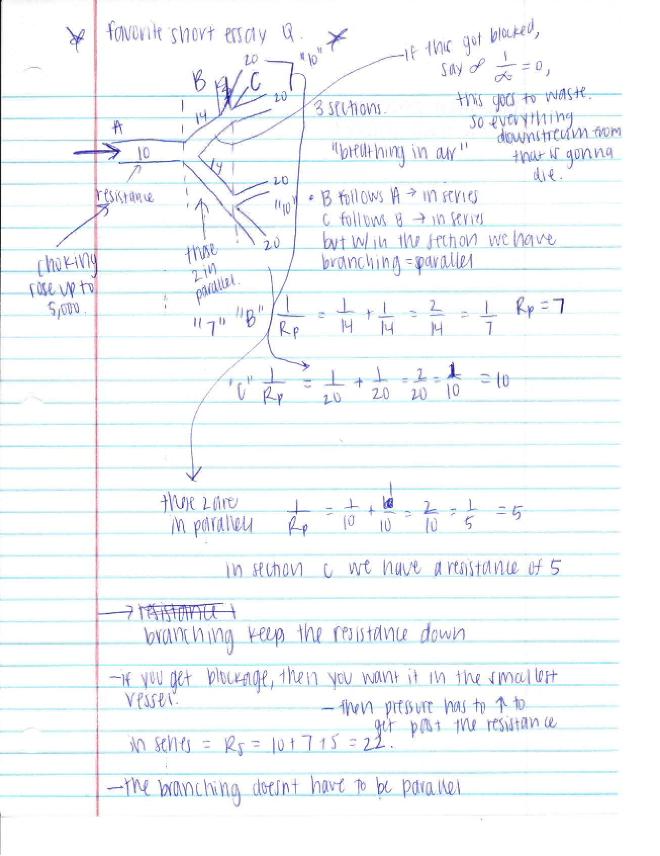 Study Notes for General Physics II