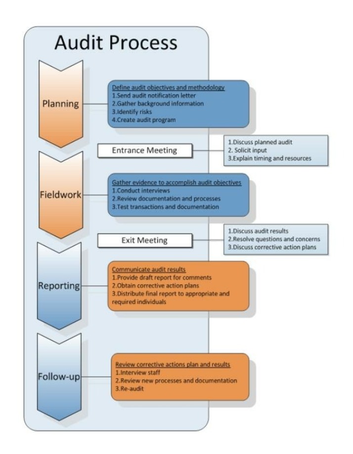 Process Flowchart for Audits