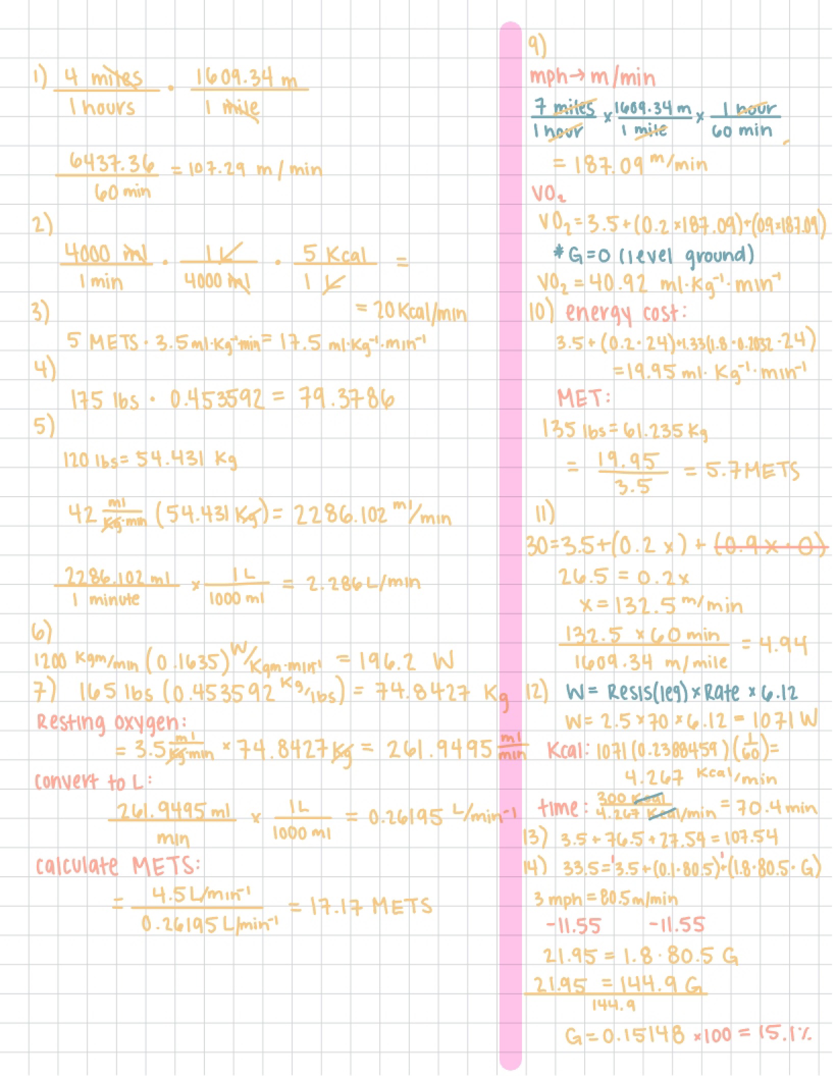 Cardiovascular Fitness Notes