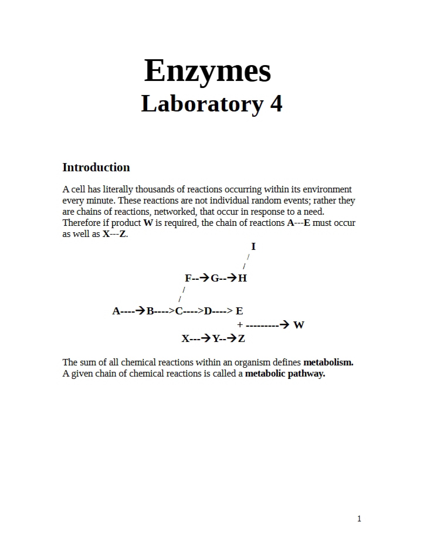 Enzymes Overview