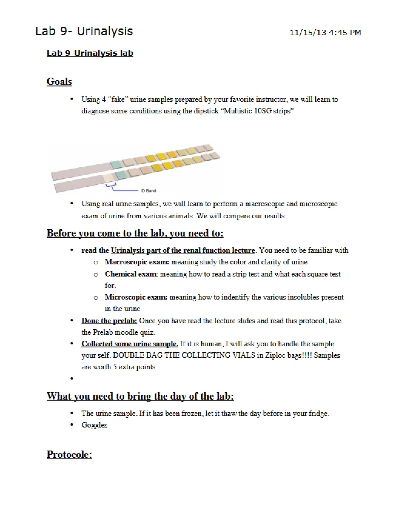 Urinalysis Lab (Session 9)