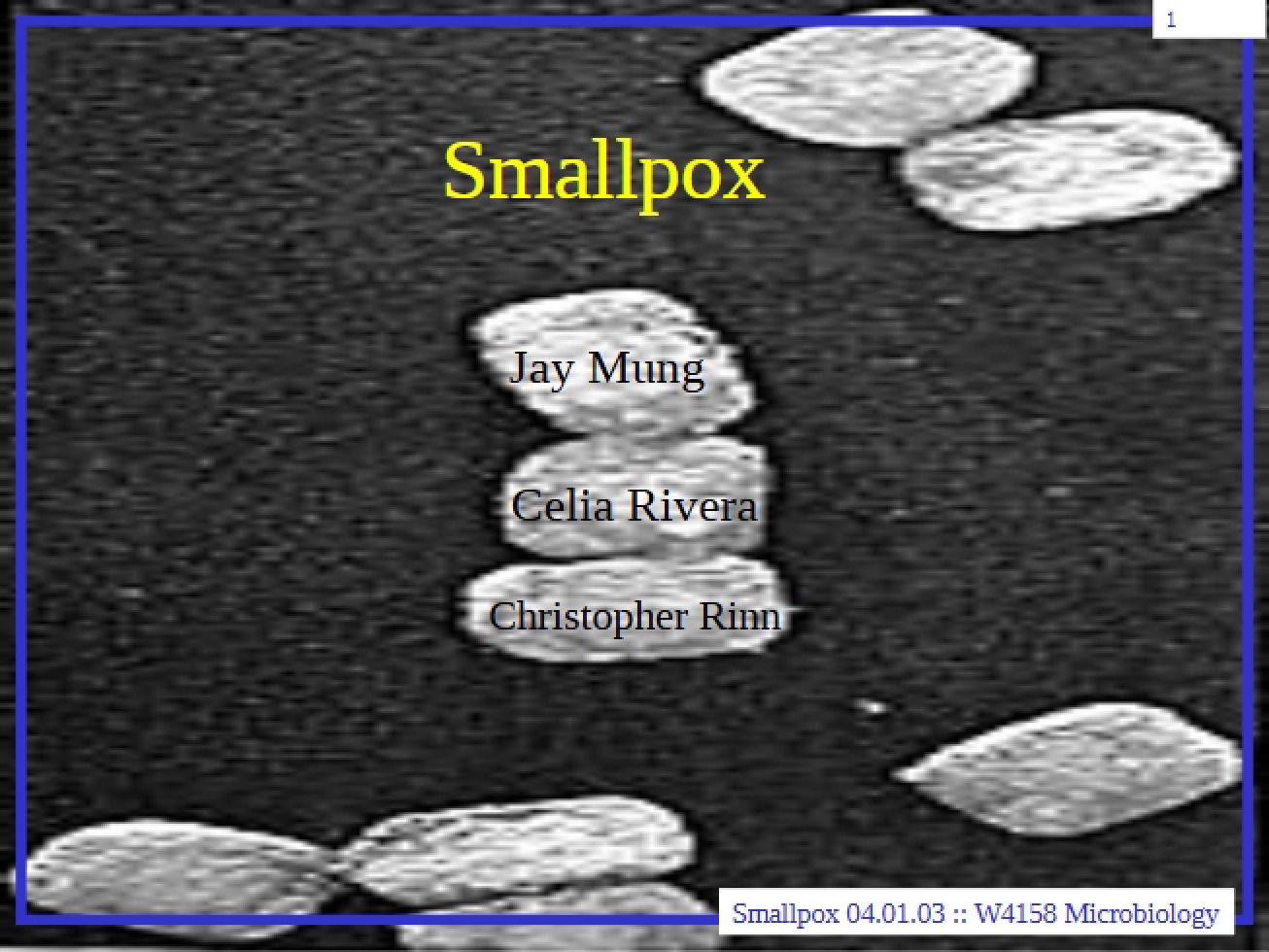 Smallpox Overview