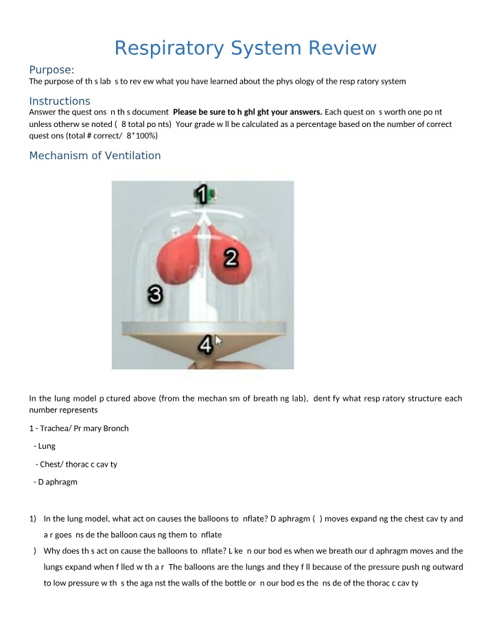 Review of the Respiratory System