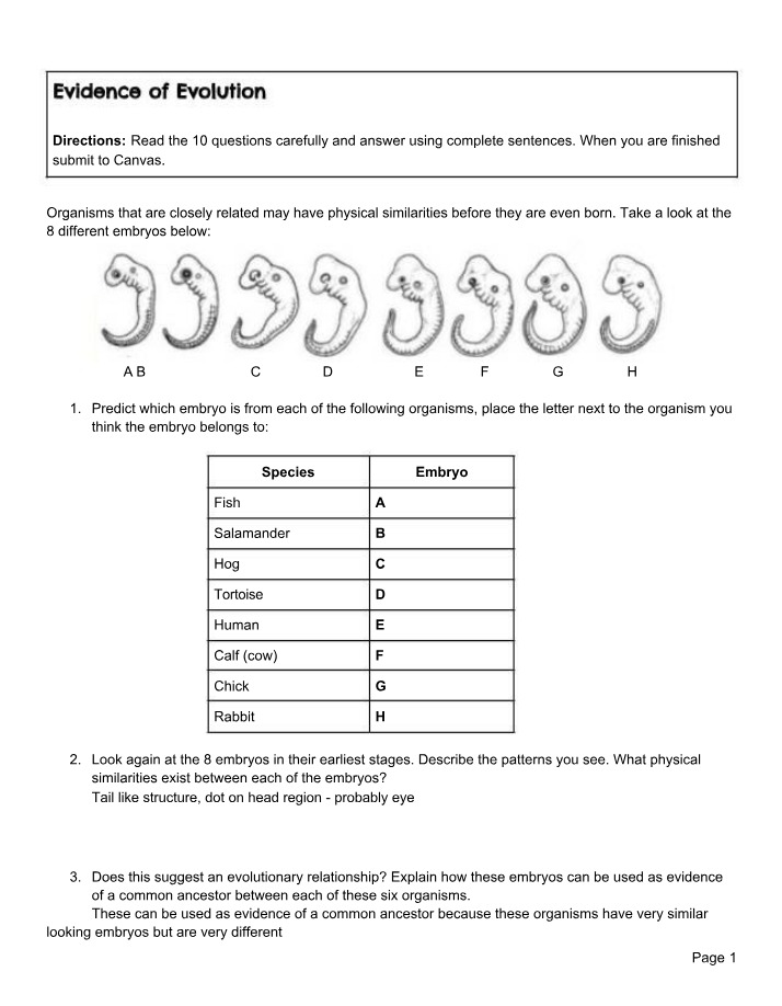 Worksheet on Evidence of Evolution