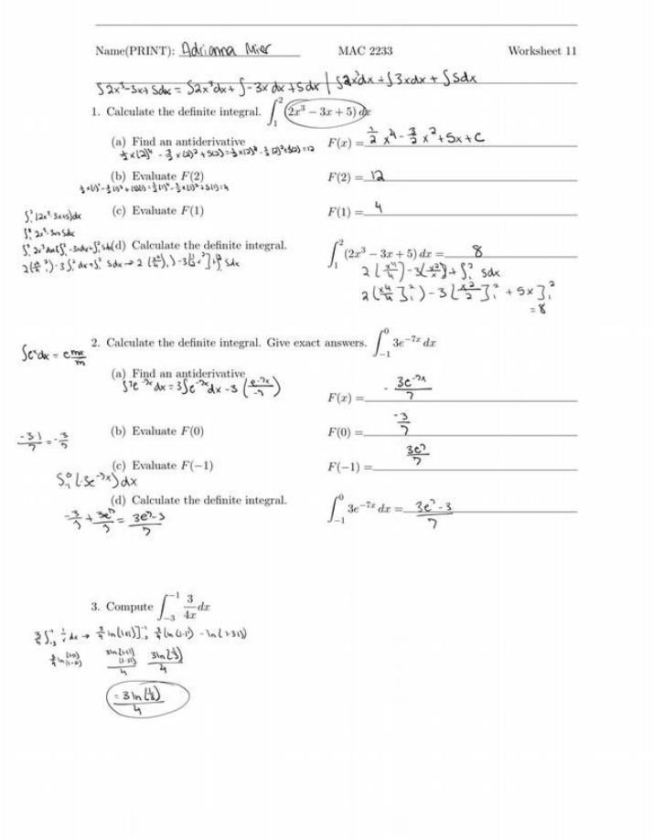 Worksheet 11 - Notes on Definite Integrals