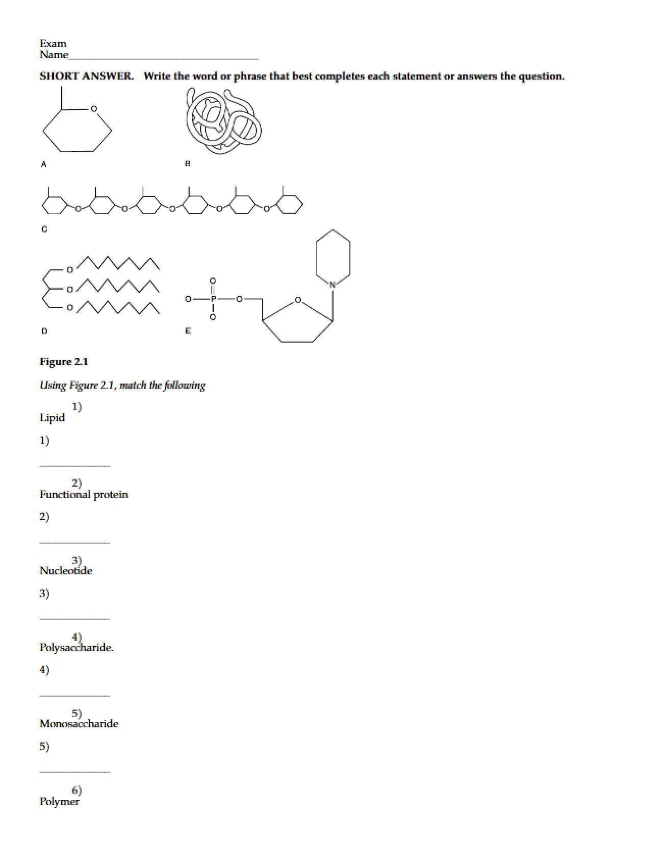 Exam for Human Anatomy