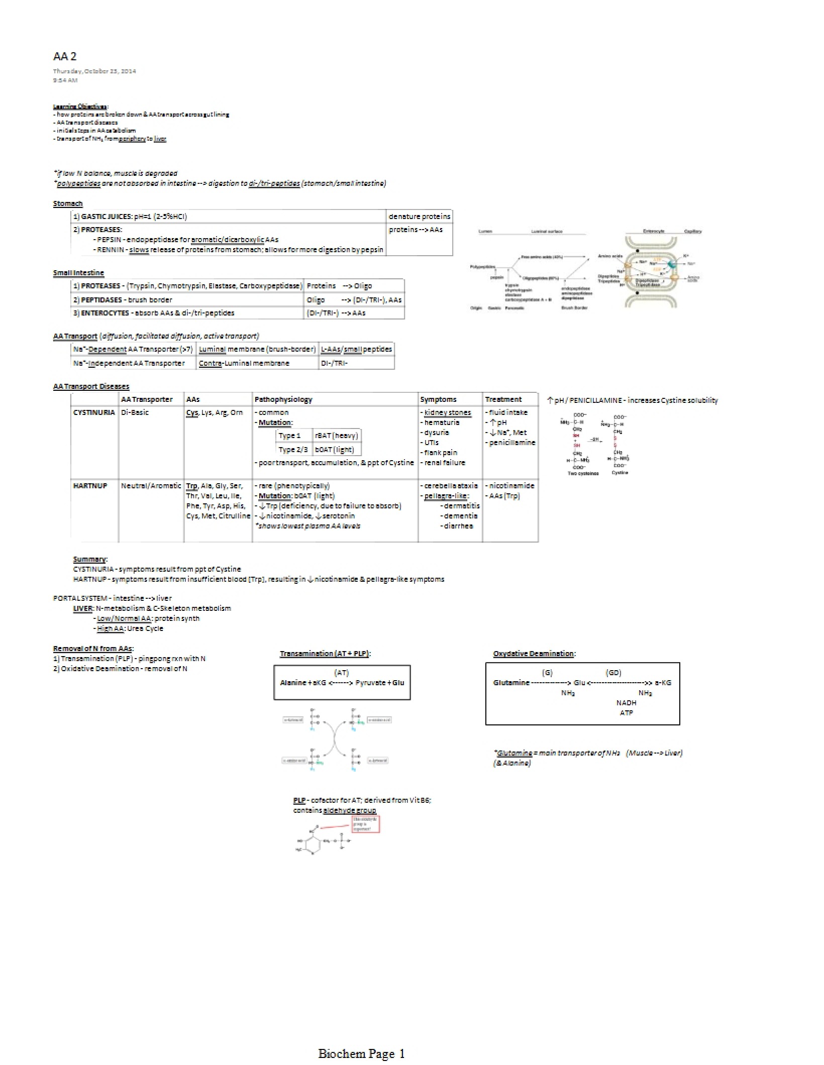 Biochemistry of the Stomach
