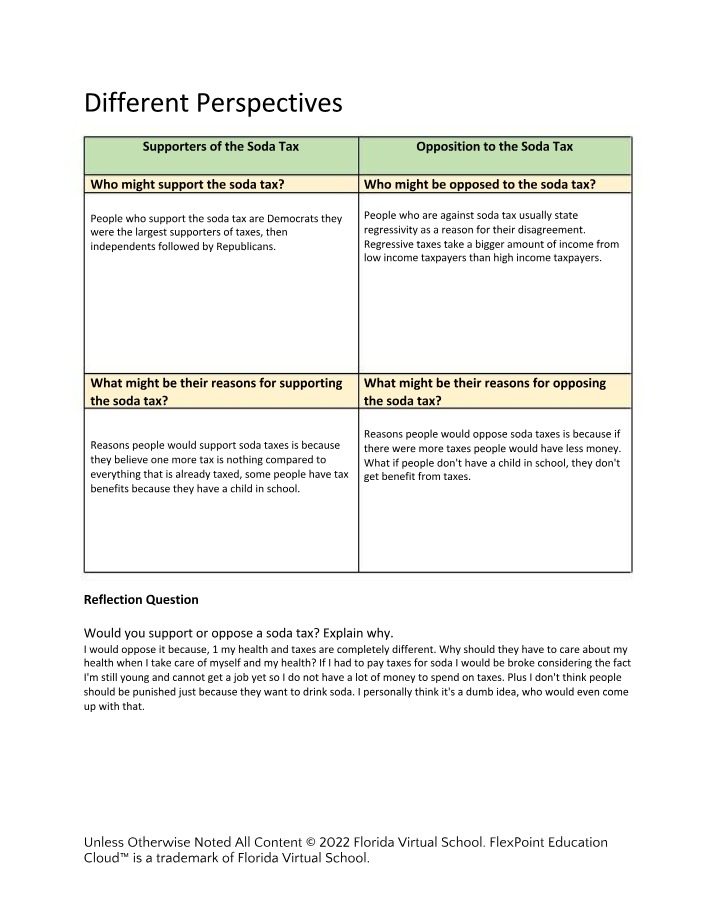 Different Perspectives Assignment Template