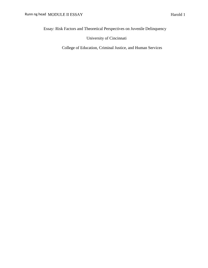 Essay for Module II