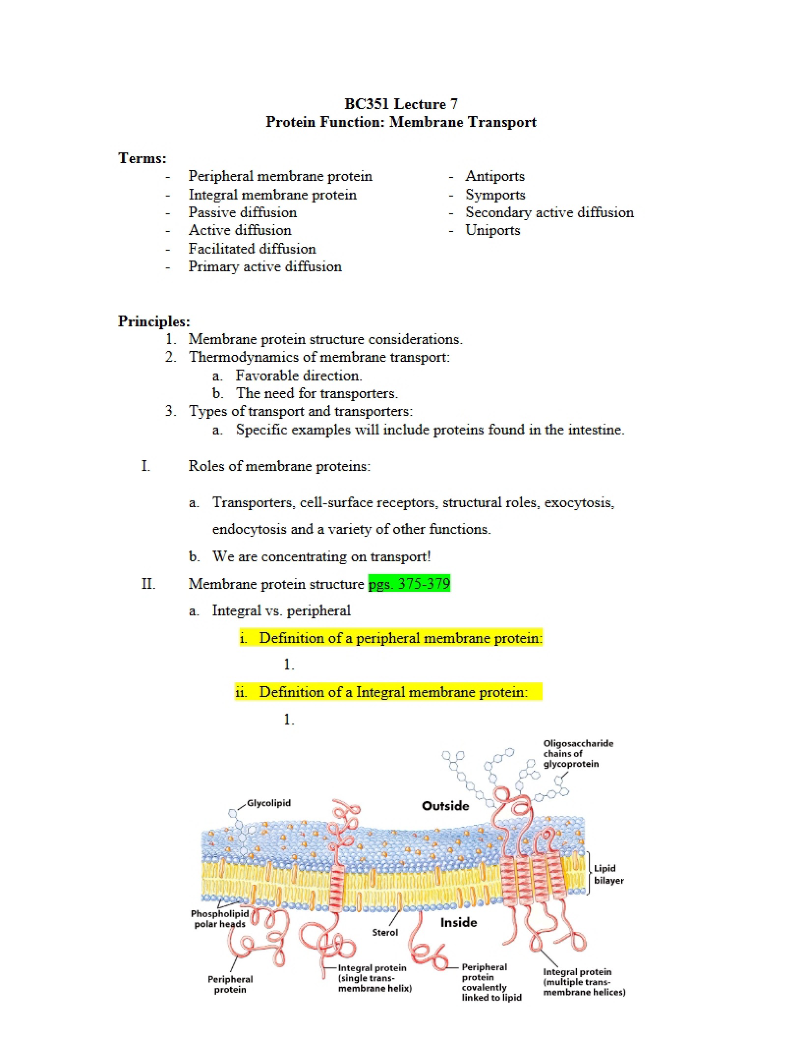 Biochemistry Lecture 7