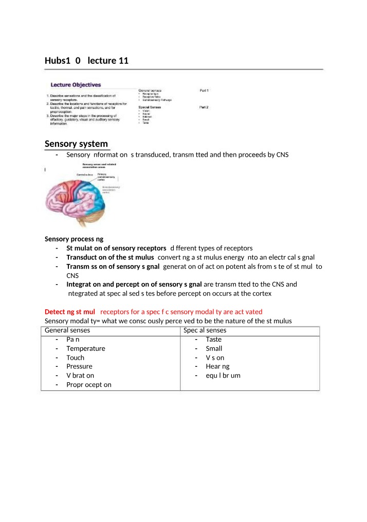 How the Brain Processes Sensory Systems and Receptors