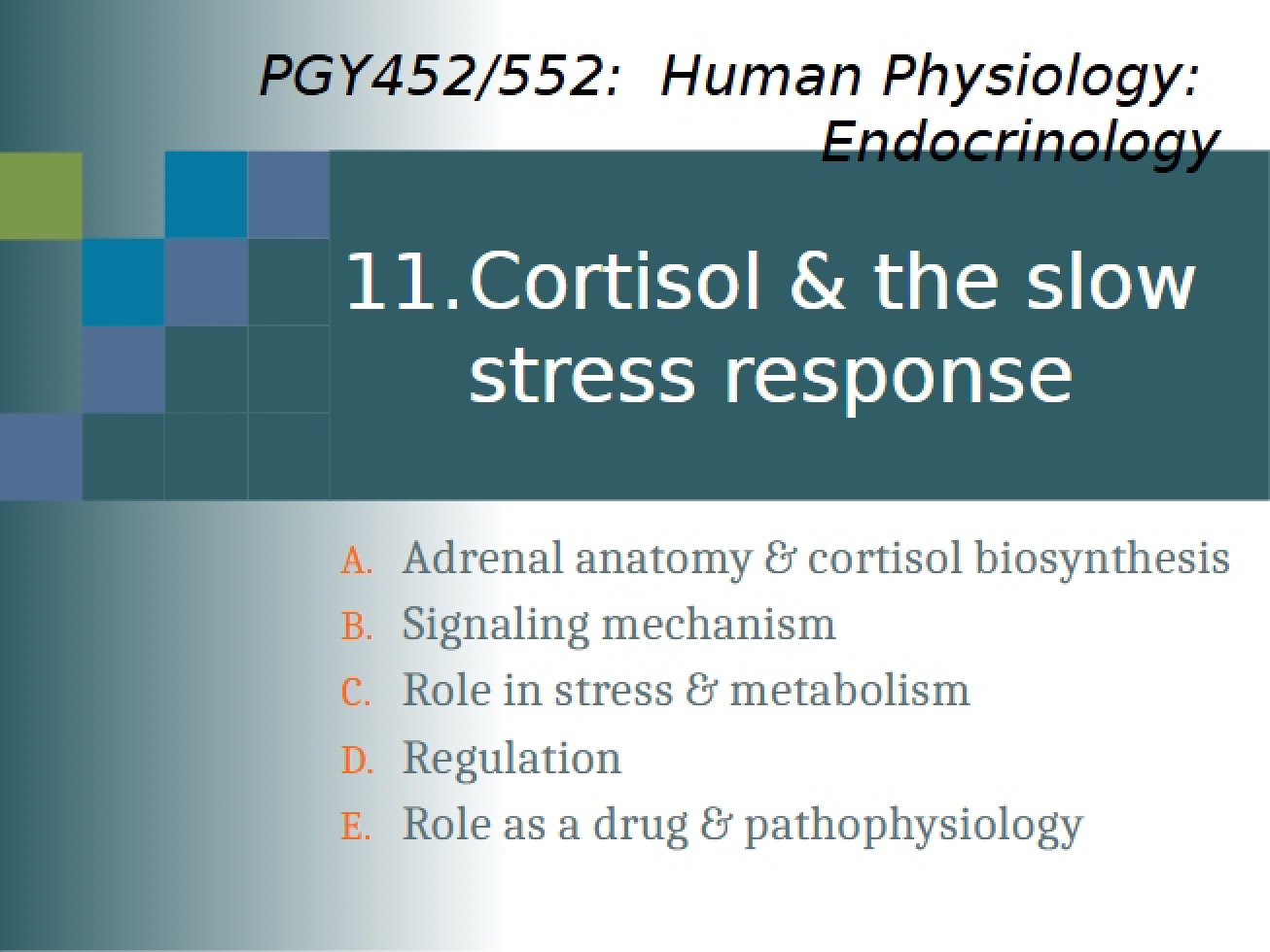 2017 Cortisol Notes (Topic 11)