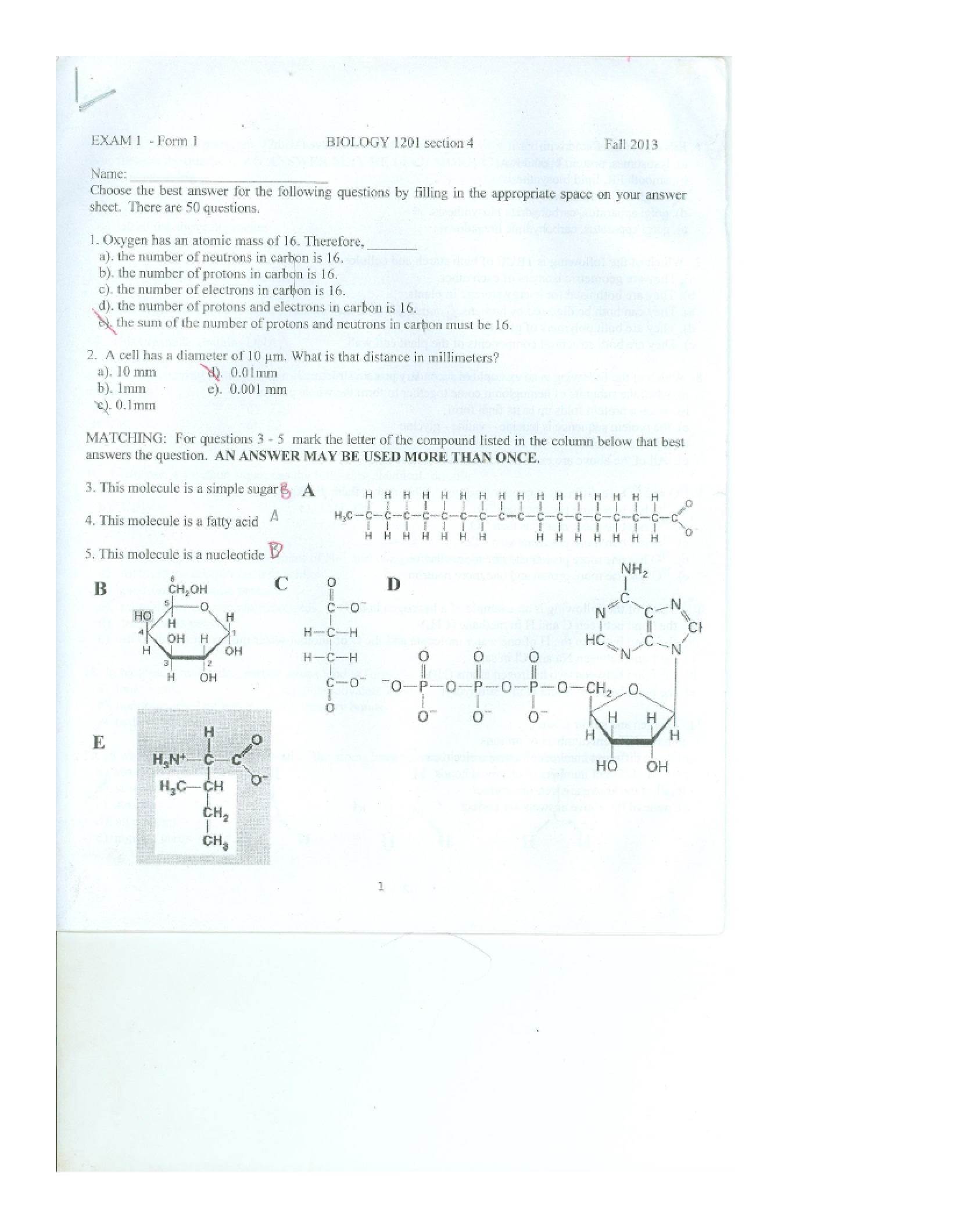 First Biology Exam