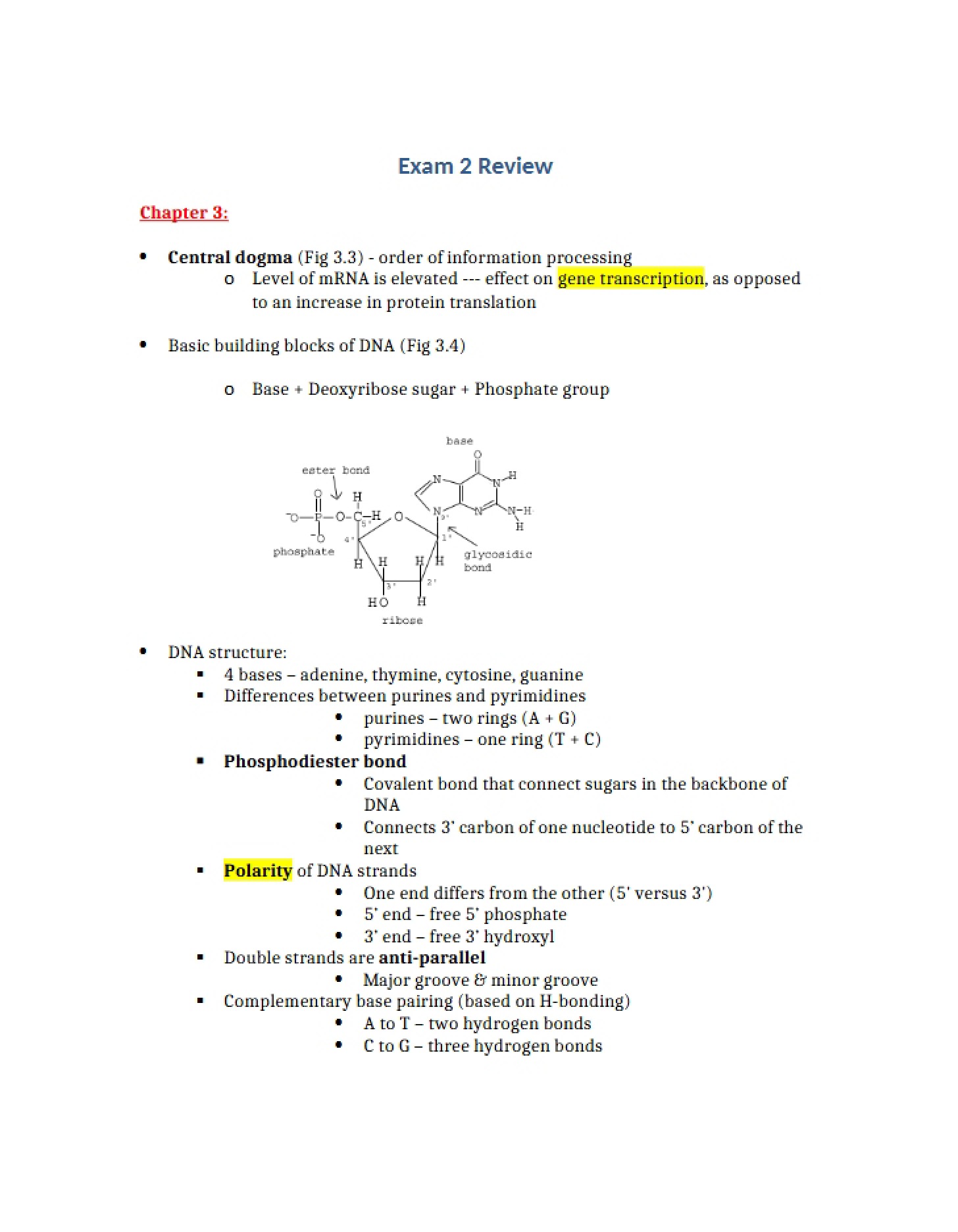 Review for Exam 2