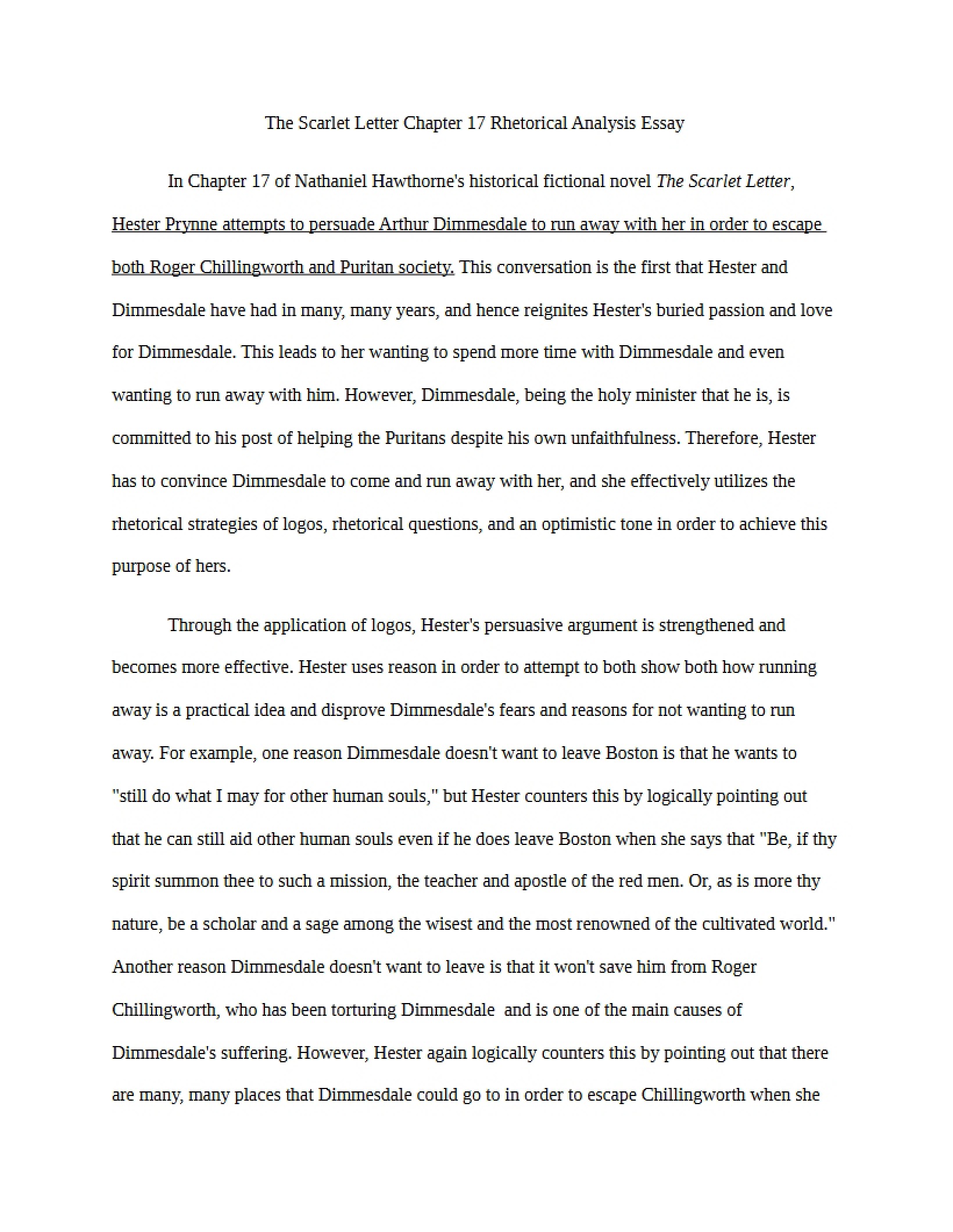 Rhetorical Analysis Essay Scarlet Letter Chapter 17