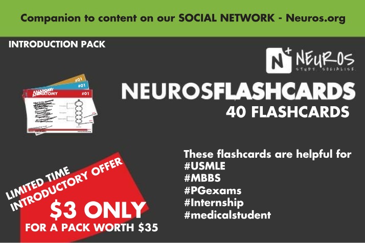 Neuro Flashcards for Nursing Leadership and Management