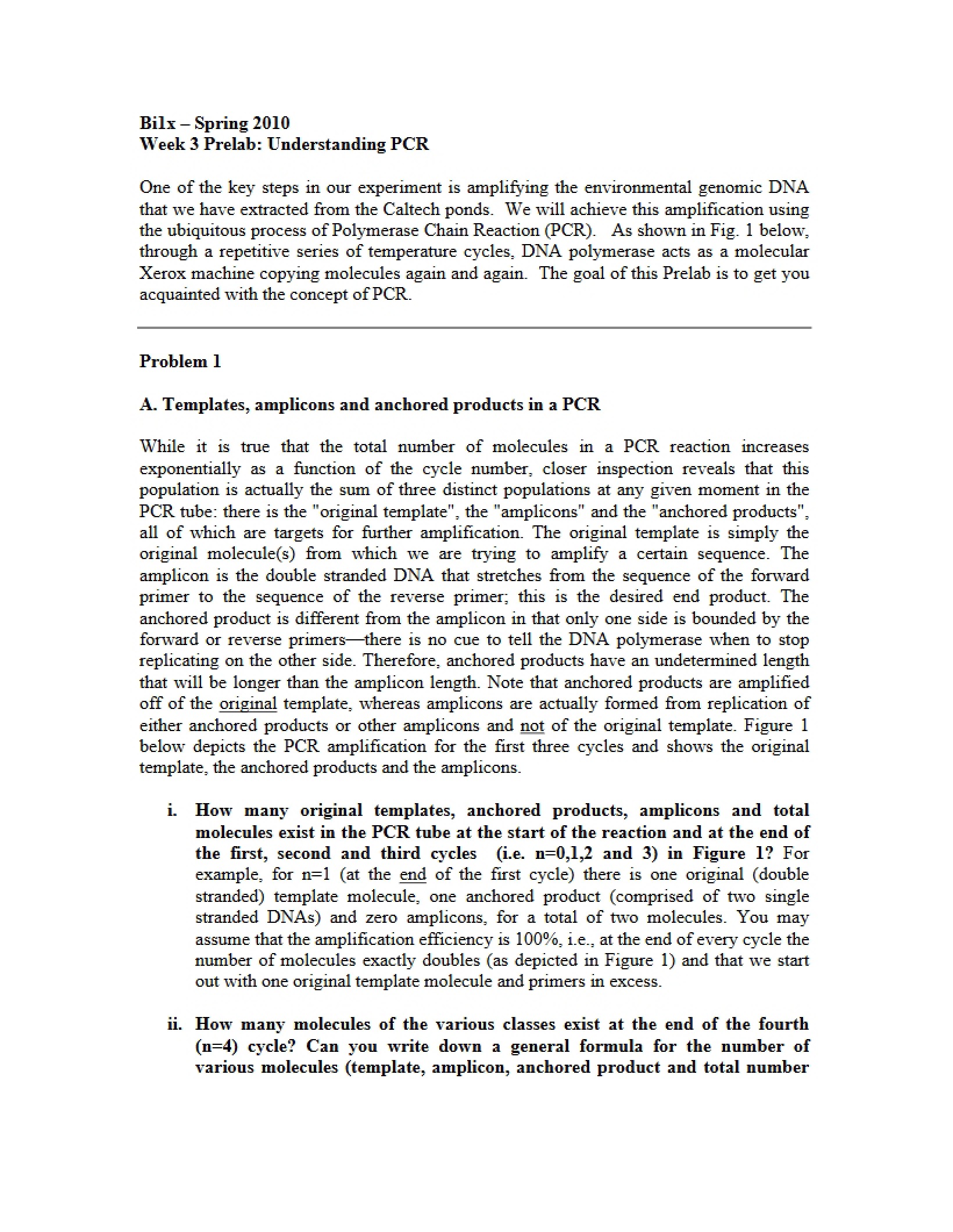 PCR Comprehension