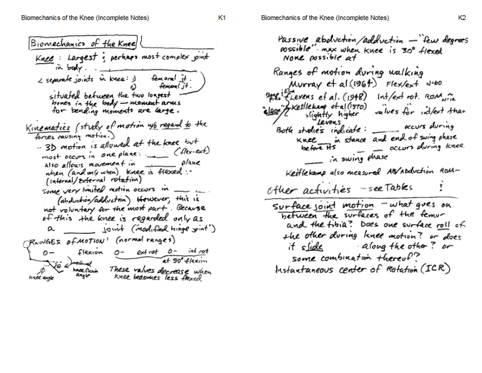 Notes on Knee Biomechanics