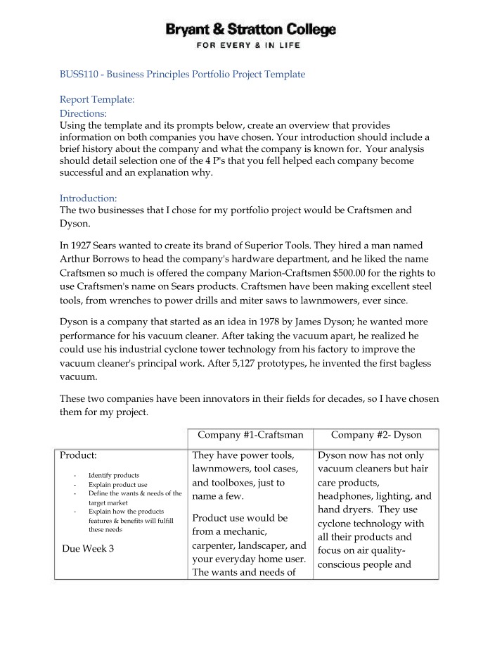 Business Principles Portfolio Project Template - BUSS110