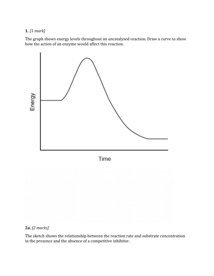 Impact of Enzymes on Energy Levels