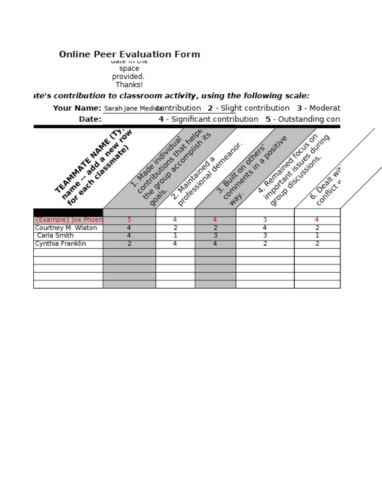 Form for Online Peer Evaluation