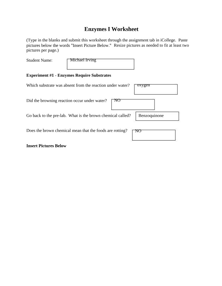 Worksheet on Enzymes I