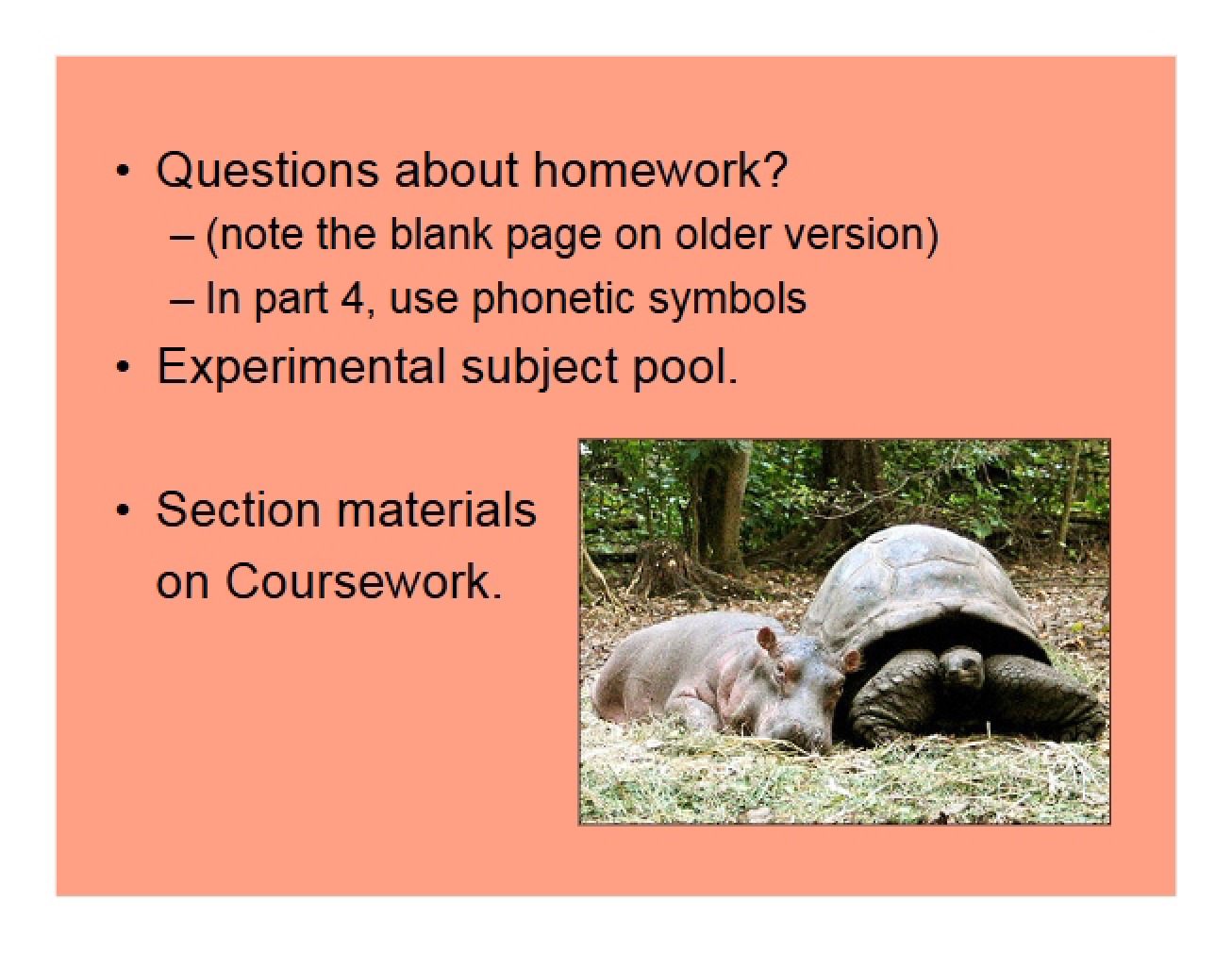 Introduction to Linguistics Study Notes