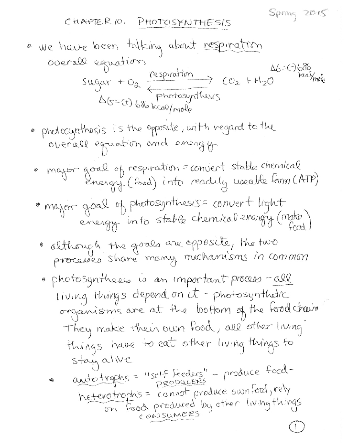 Photosynthesis Overview
