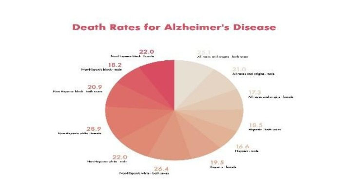 Visual Guide to Alzheimer's Disease - Brain and Statistics